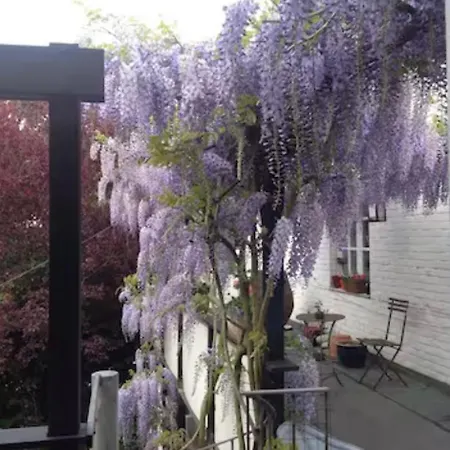 Appartement Stilvolle Atelierwohnung - Naehe Bundespolizei *