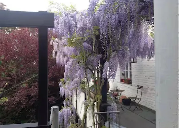 Appartement Stilvolle Atelierwohnung - Naehe Bundespolizei *